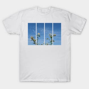 Cirrocumulus clouds in blue sky; sunny peaceful spring day. Bee is coming to white and yellow flowers to pollinate. Water in a gaseous state in nature. The atmosphere of the earth. Symbol of freedom T-Shirt